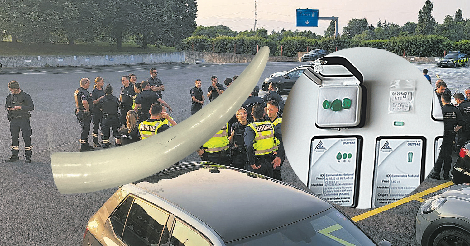 Douane: les dcouvertes insolites de 2025 | Genve Home Informations